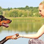 Women-shaking-hand-with-dog